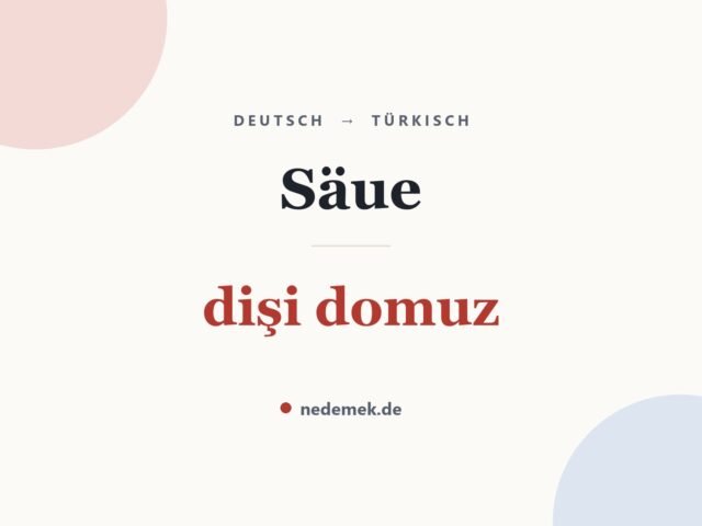 Säue auf Türkisch: dişi domuz