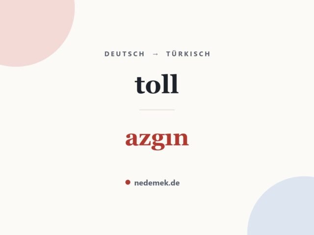toll auf Türkisch: azgın