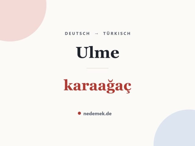 Ulme auf Türkisch: karaağaç