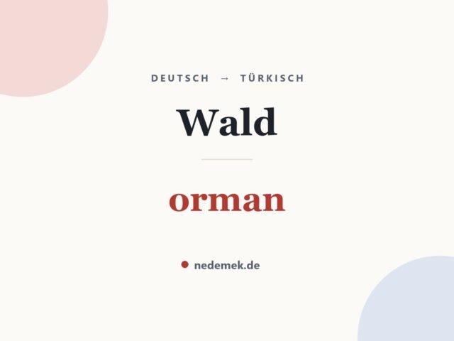 Wald auf Türkisch: orman