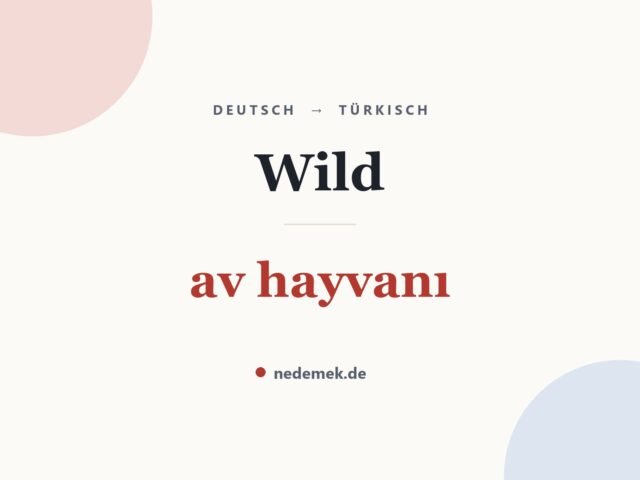 Wild auf Türkisch: av hayvanı