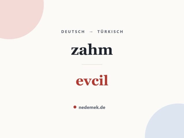 zahm auf Türkisch: evcil