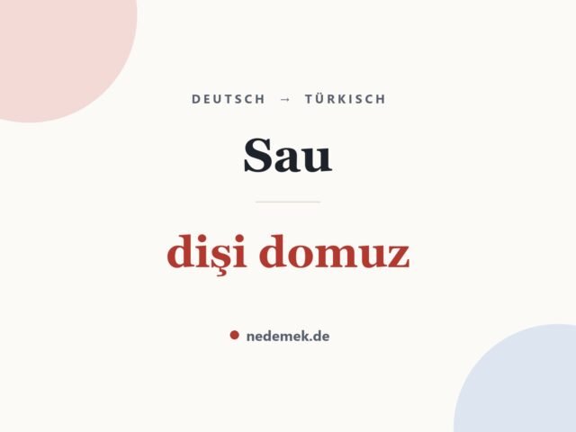 Sau auf Türkisch: dişi domuz