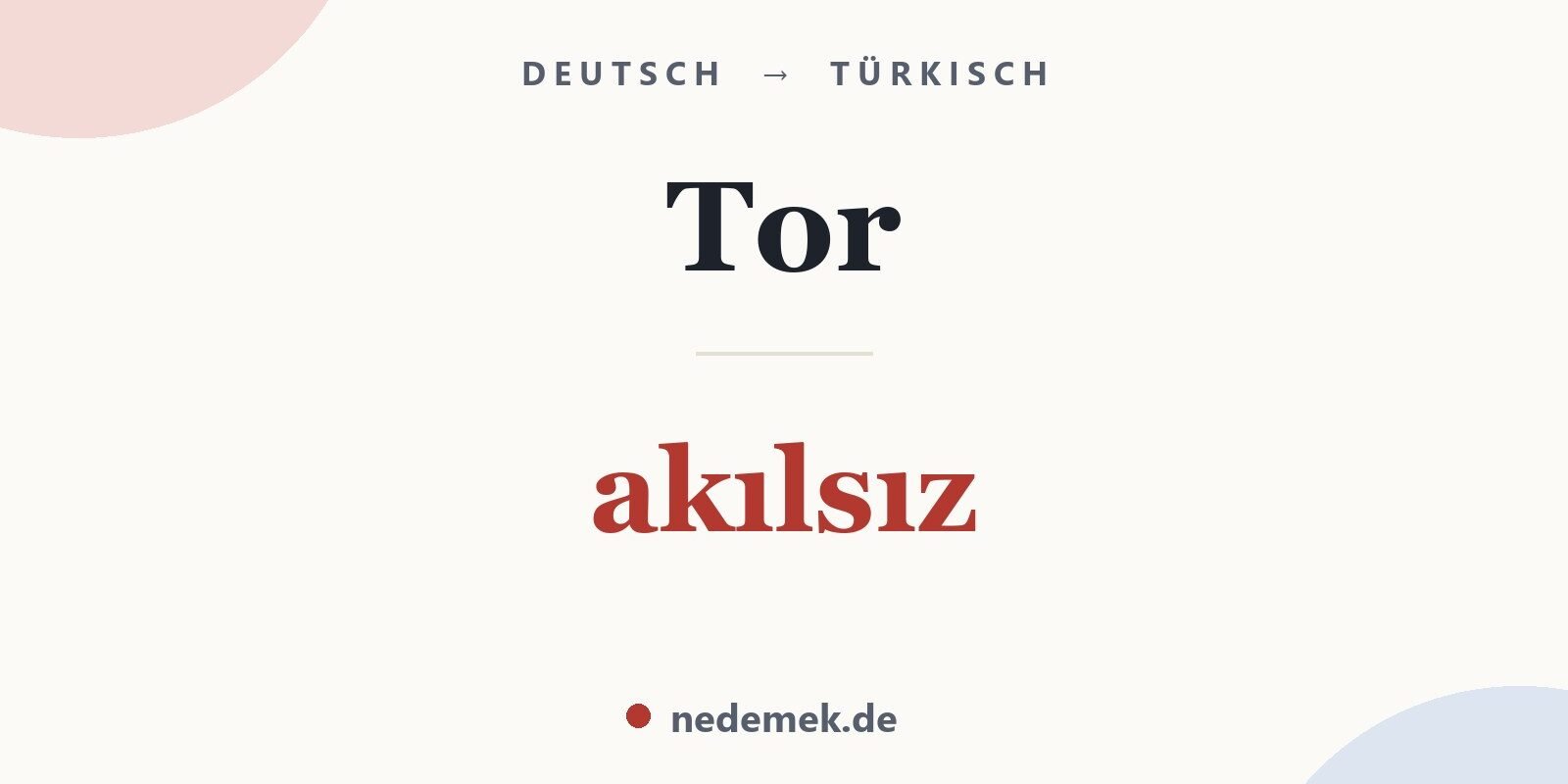 Tor auf Türkisch: akılsız