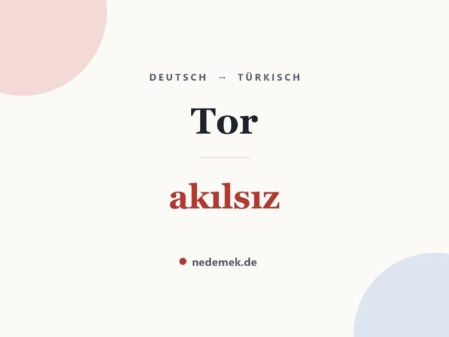 Tor auf Türkisch: akılsız