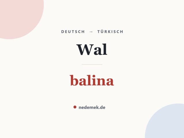 Wal auf Türkisch: balina