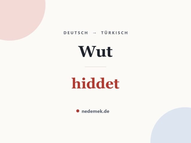 Wut auf Türkisch: hiddet
