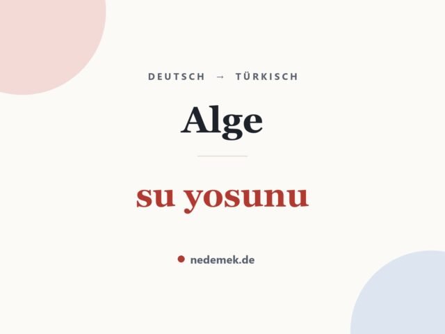 Alge auf Türkisch: su yosunu