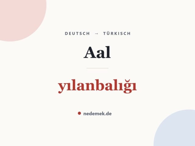 Aal auf Türkisch: yılanbalığı