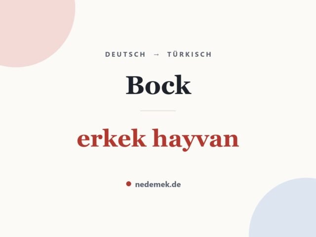 Bock auf Türkisch: erkek hayvan