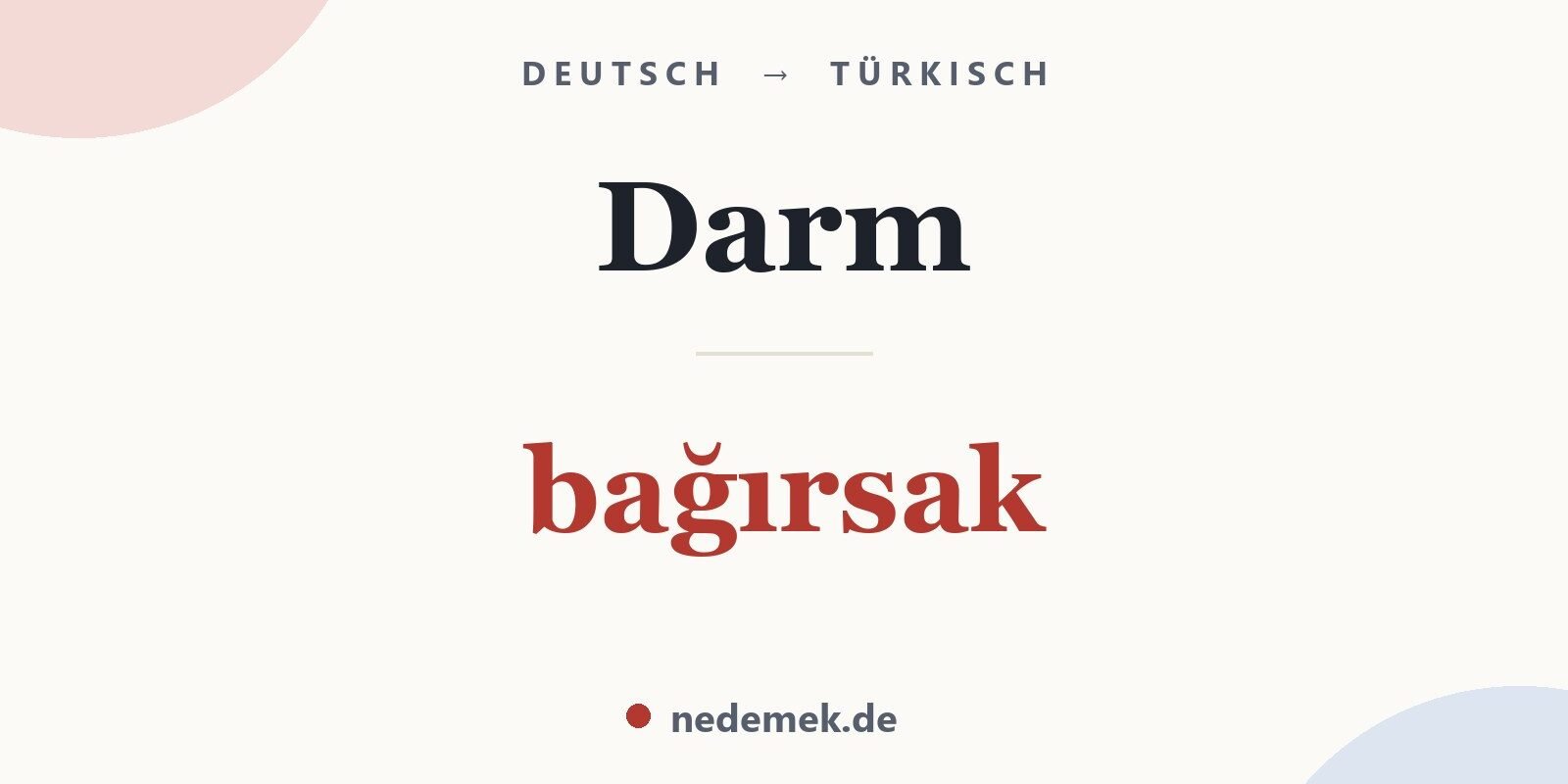 Darm auf Türkisch: bağırsak
