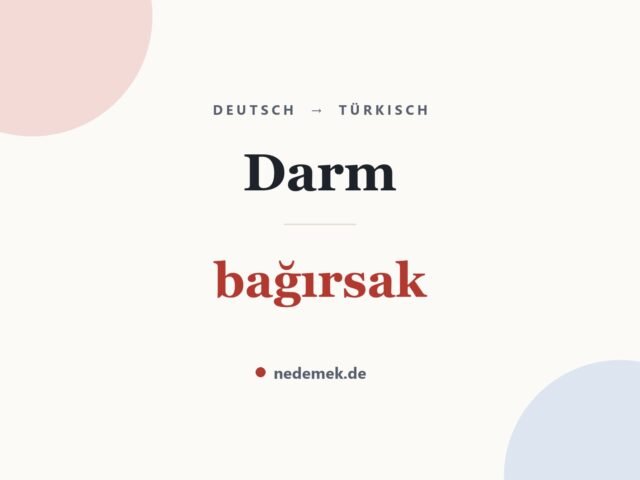 Darm auf Türkisch: bağırsak