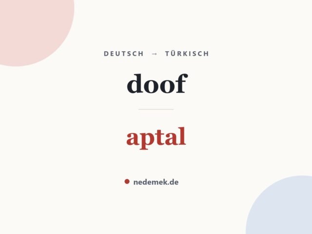 doof auf Türkisch: aptal