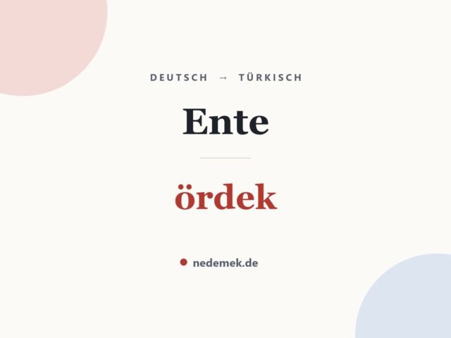 Ente auf Türkisch: ördek