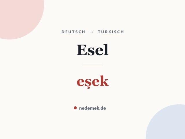 Esel auf Türkisch: eşek