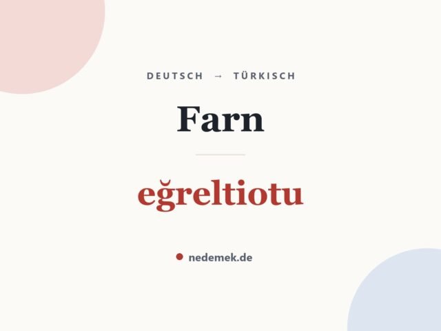 Farn auf Türkisch: eğreltiotu