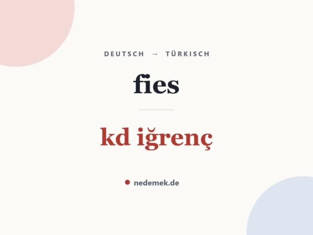 fies auf Türkisch: kd iğrenç