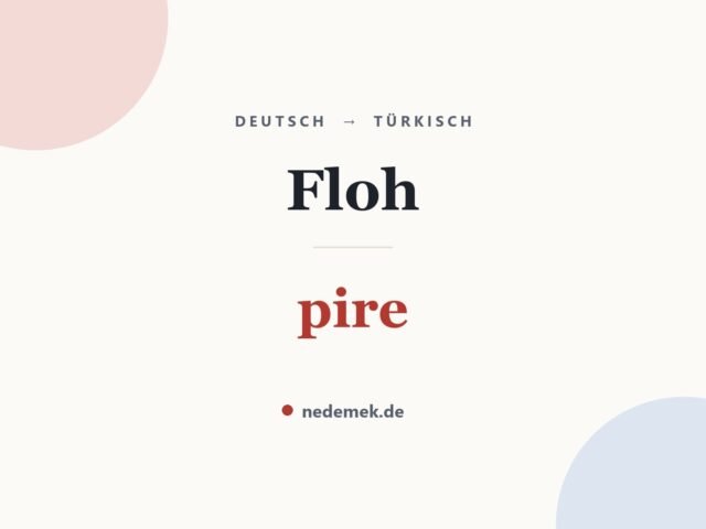 Floh auf Türkisch: pire