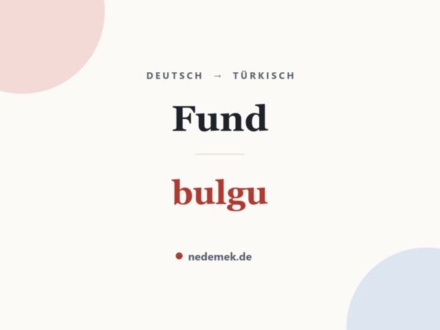 Fund auf Türkisch: bulgu