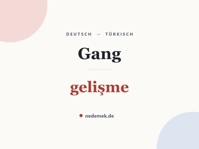 Gang auf Türkisch: gelişme