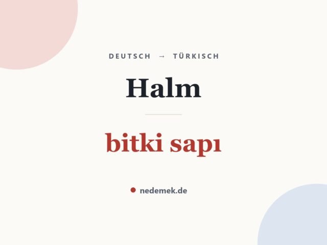 Halm auf Türkisch: bitki sapı