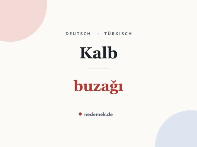 Kalb auf Türkisch: buzağı