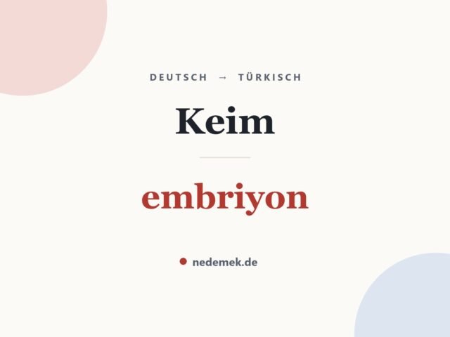 Keim auf Türkisch: embriyon