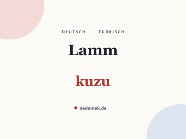 Lamm auf Türkisch: kuzu