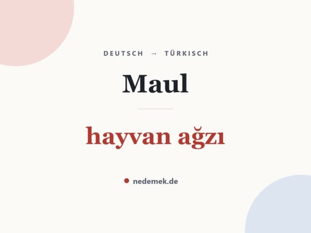 Maul auf Türkisch: hayvan ağzı