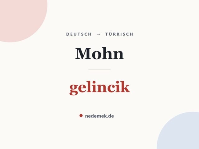Mohn auf Türkisch: gelincik