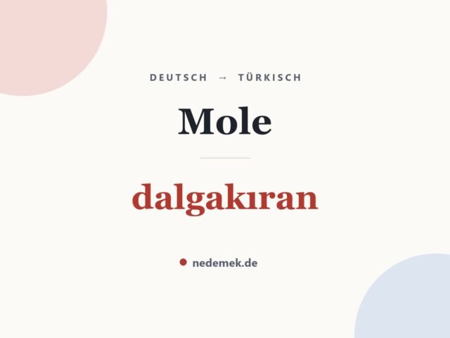 Mole auf Türkisch: dalgakıran