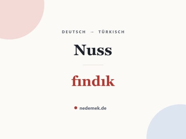 Nuss auf Türkisch: fındık