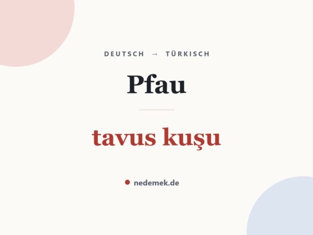 Pfau auf Türkisch: tavus kuşu