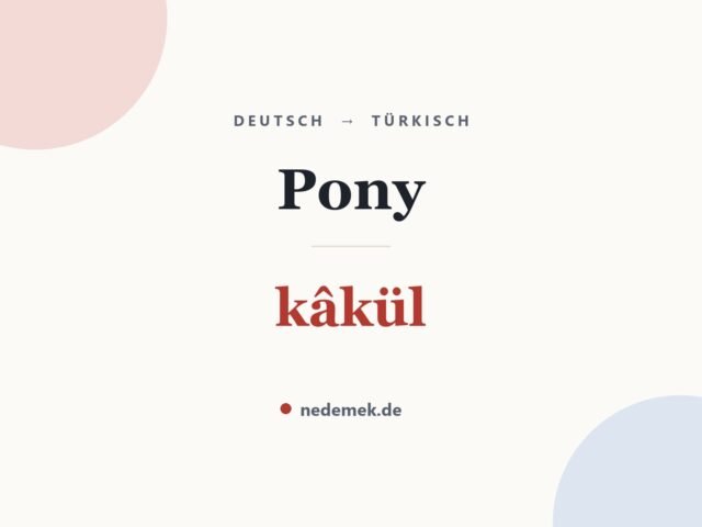 Pony auf Türkisch: kâkül