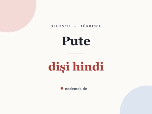 Pute auf Türkisch: dişi hindi