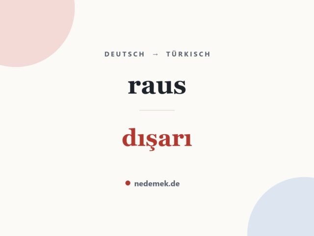 raus auf Türkisch: dışarı