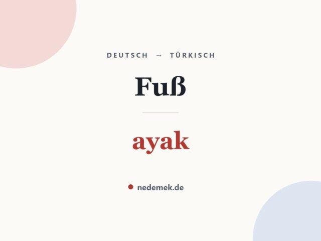 Fuß auf Türkisch: ayak