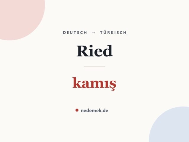 Ried auf Türkisch: kamış