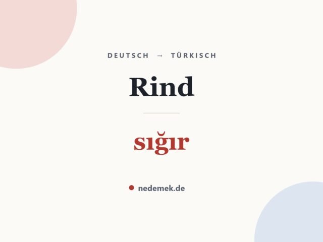 Rind auf Türkisch: sığır
