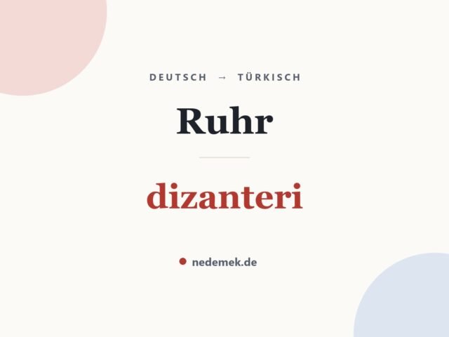 Ruhr auf Türkisch: dizanteri