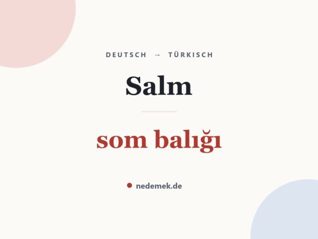 Salm auf Türkisch: som balığı