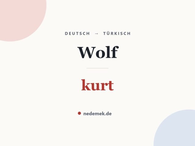 Wolf auf Türkisch: kurt