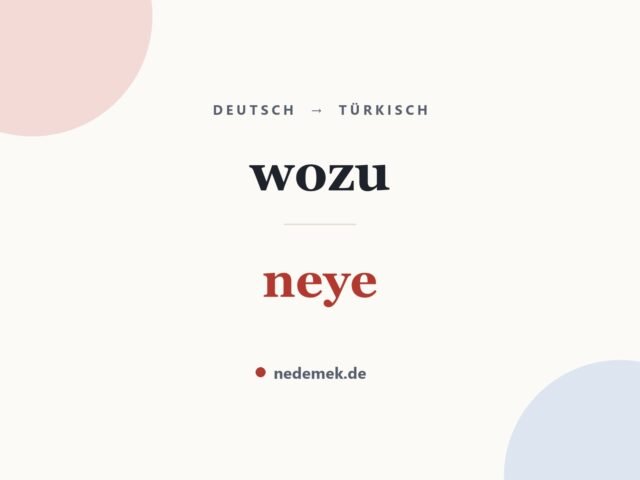 wozu auf Türkisch: neye