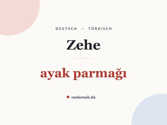 Zehe auf Türkisch: ayak parmağı