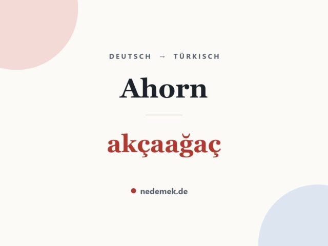 Ahorn auf Türkisch: akçaağaç