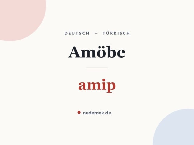 Amöbe auf Türkisch: amip