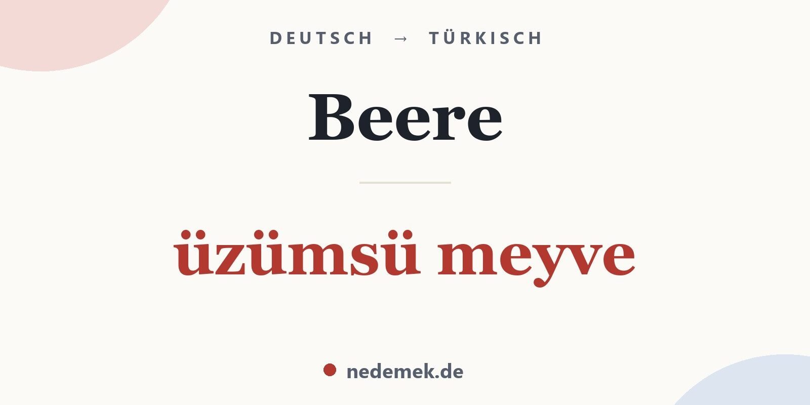 Beere auf Türkisch: üzümsü meyve