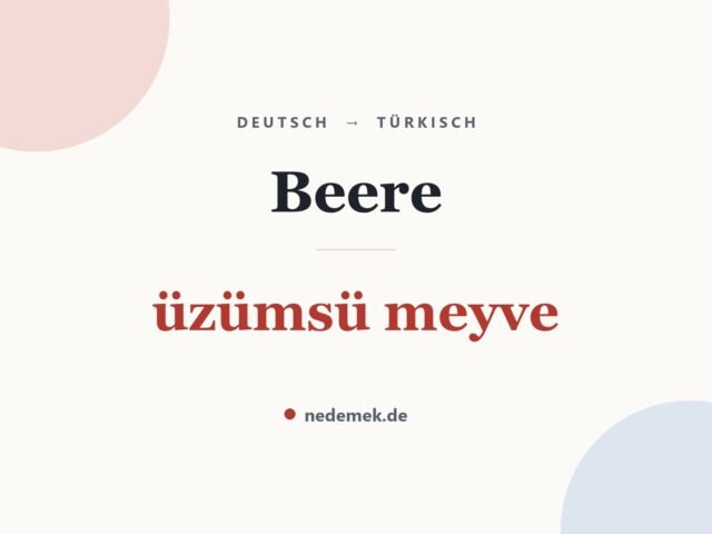 Beere auf Türkisch: üzümsü meyve