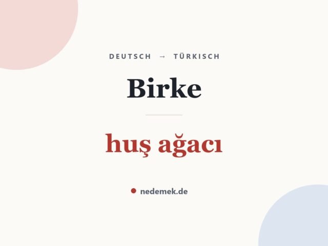 Birke auf Türkisch: huş ağacı