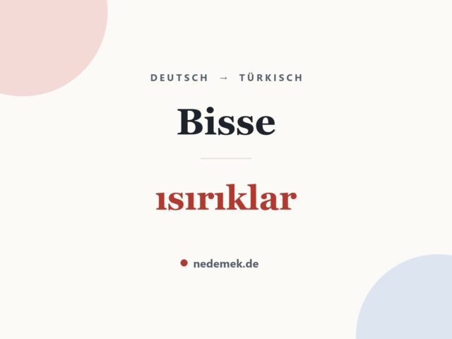 Bisse auf Türkisch: ısırıklar